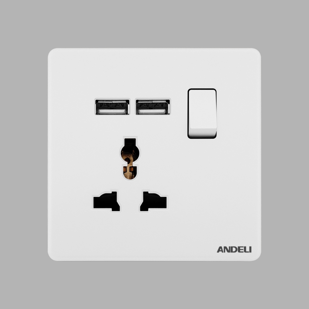 Multi Functional Switched Socket