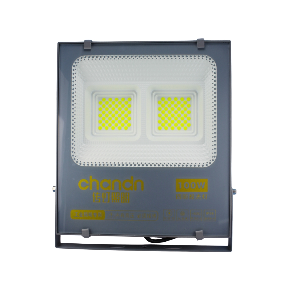 100W LED Flood Light