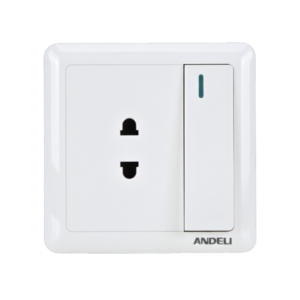 2 Pin Switched Socket