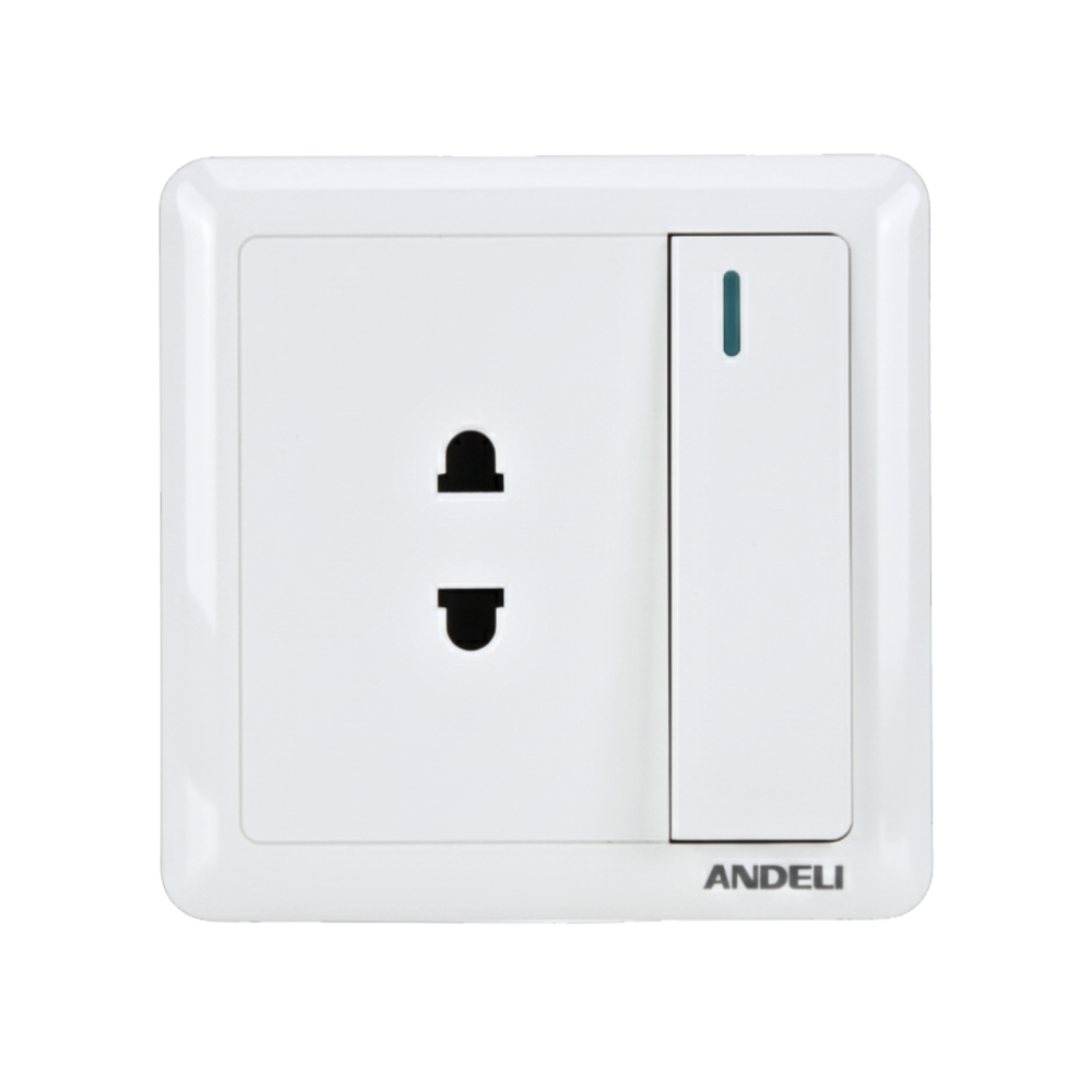 2 Pin Switched Socket